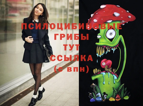 первитин Няндома
