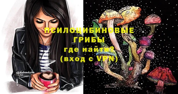 первитин Няндома