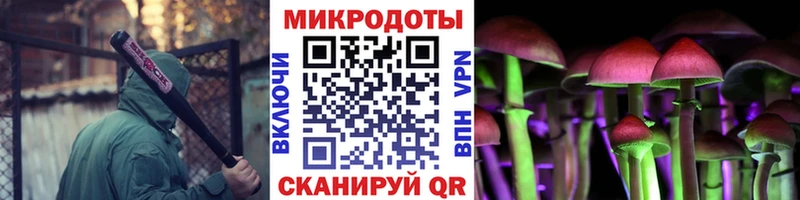 Псилоцибиновые грибы Magic Shrooms  закладка  KRAKEN ССЫЛКА  Калач-на-Дону 