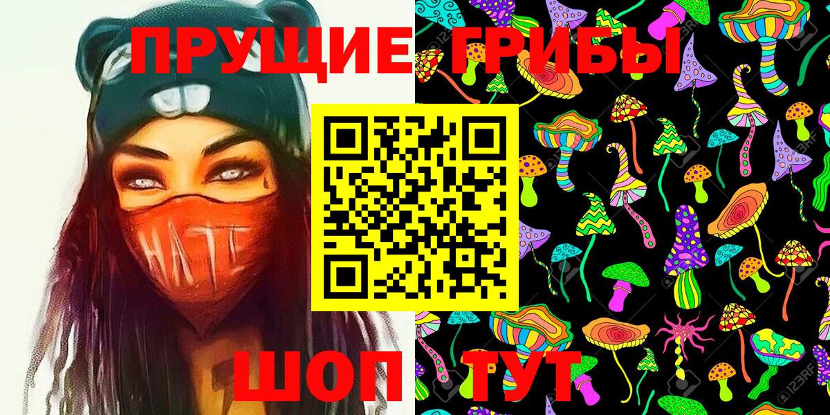 Галлюциногенные грибы Cubensis  Калач-на-Дону  где можно купить   Галлюциногенные грибы GOLDEN TEACHER 