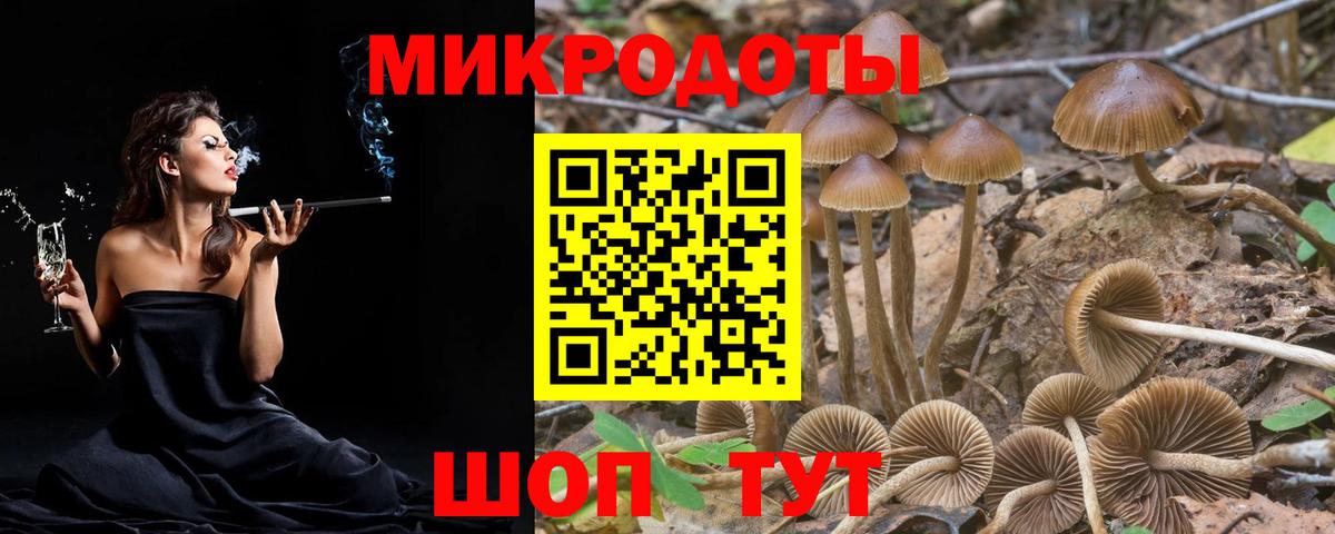 купить наркоту  Вход с VPN  Калач-на-Дону  Галлюциногенные грибы Magic Shrooms 